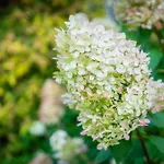 城市中心花园露营地