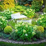 Kemping Center Garden Tallin