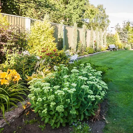Center Garden
