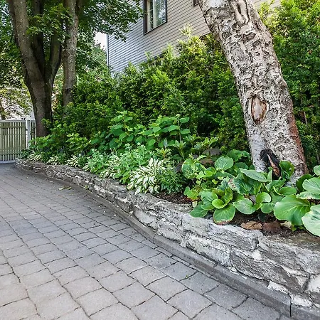 Center Garden * Tallin