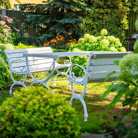 Center Garden Kemping Tallin