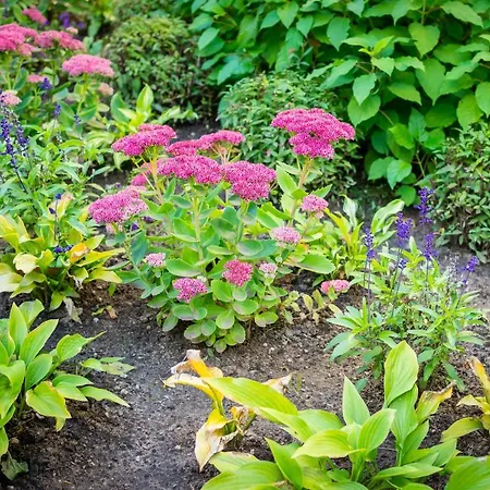 Center Garden