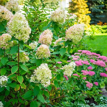 Kemping Center Garden