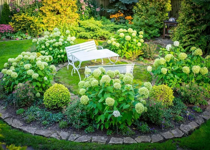 אתר קמפינג Center Garden טאלין