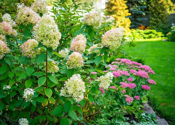 Campsite City Center Garden Camping